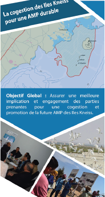 La cogestion des Iles Kneiss pour une AMP durable