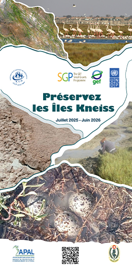 Préservez-les-îles-kneiss