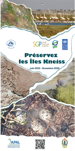 Préservez-les-îles-kneiss